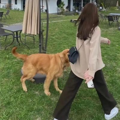 女警撞到夫